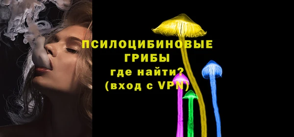 apvp Арсеньев