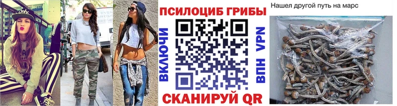 Псилоцибиновые грибы MAGIC MUSHROOMS гидра как зайти Саров